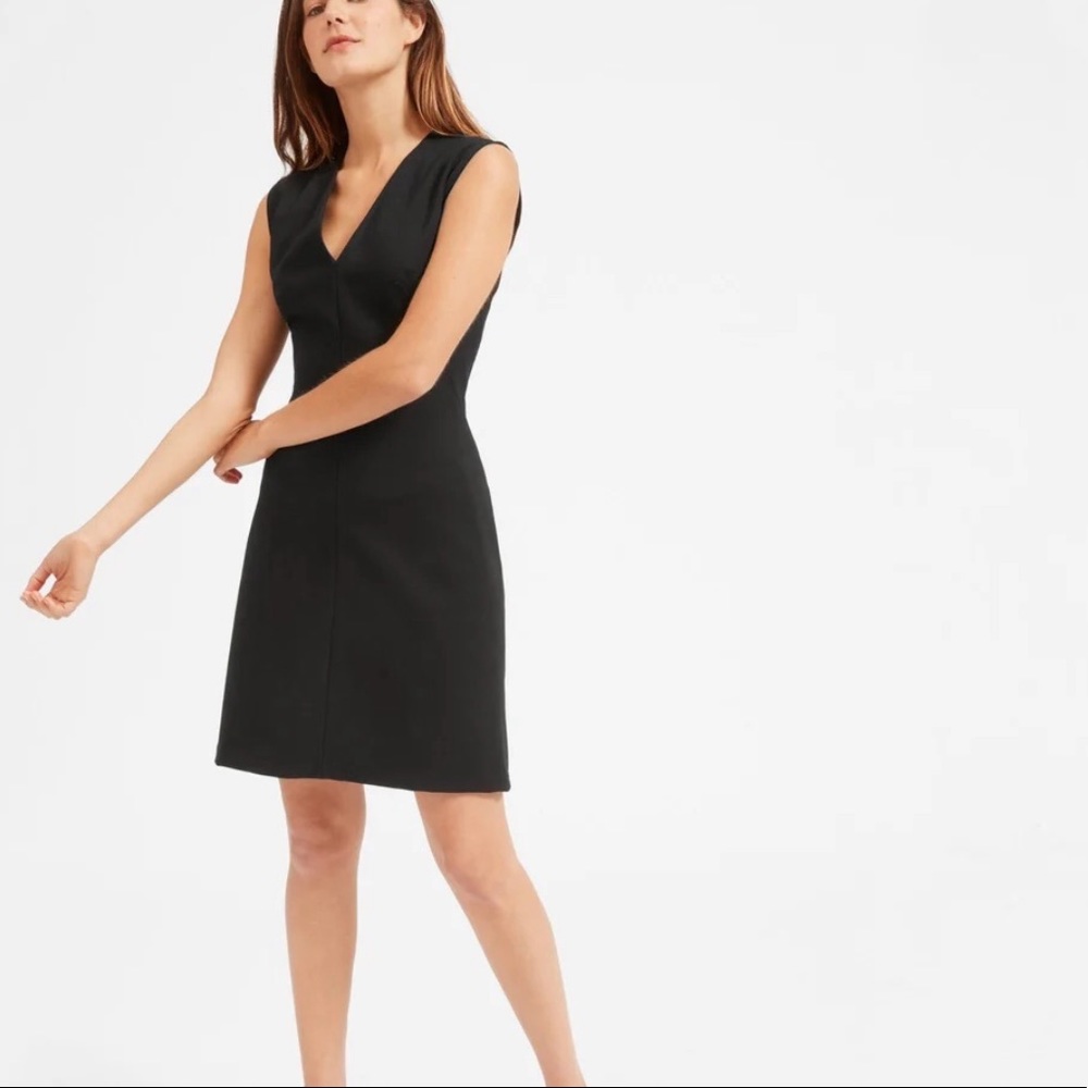 Everlane The Sleeveless V-Neck Flare Dress